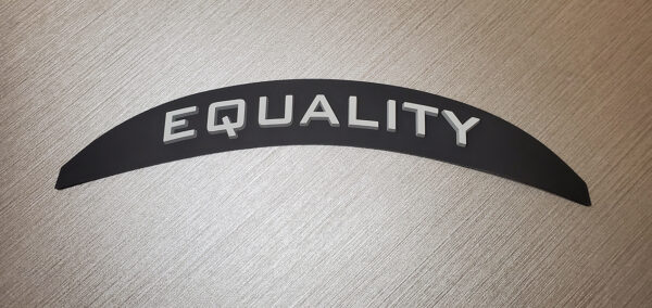 Riddell Speedflex Equality Back Bumper - Image 2